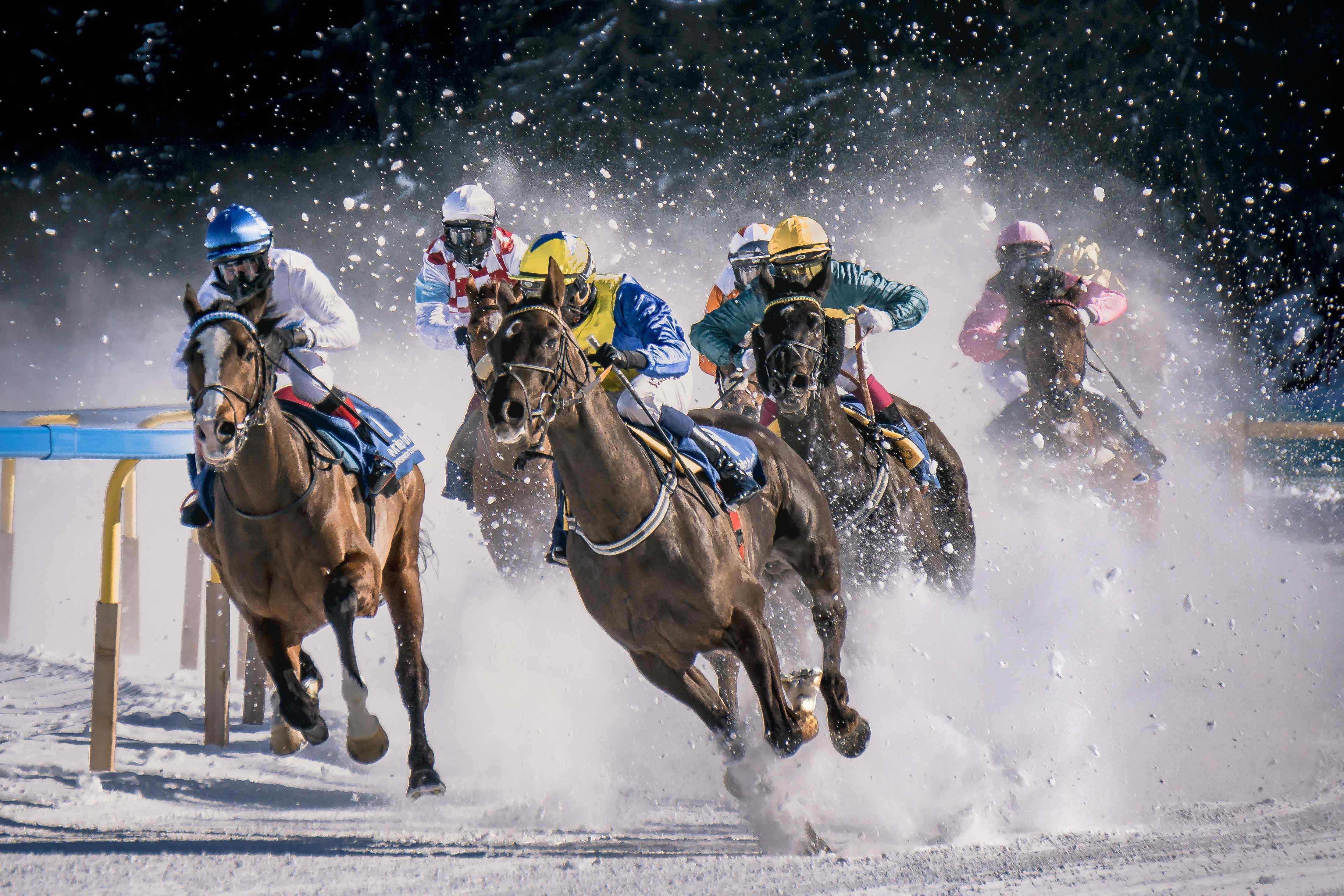 Horse Racing In Snow
