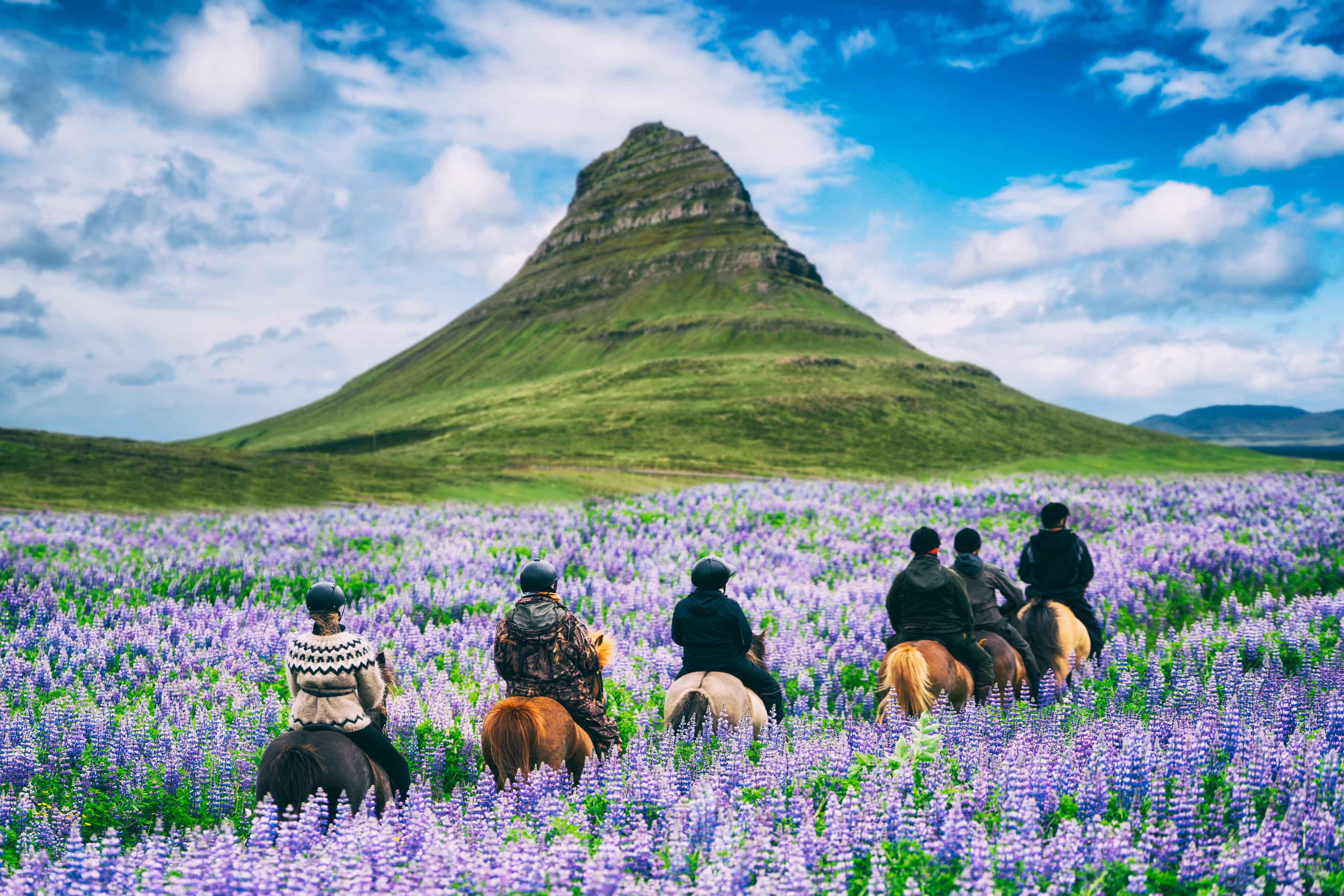 Riding Group Spring